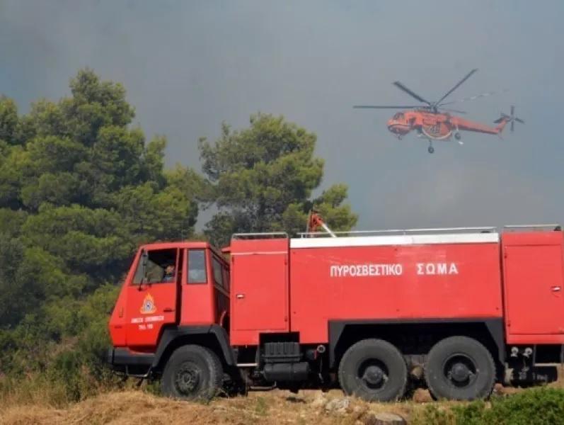 Πυρκαγιά κοντά στο Νεοχώρι, στην Πρέβεζα