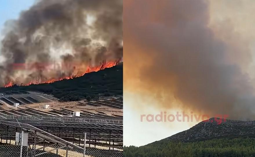 Μεγάλη φωτιά στον Μύτικα Θήβας - Στη μάχη 20 εναέρια μέσα, ανάμεσά τους 2 Chinook