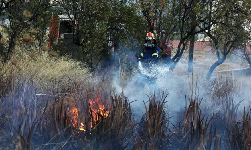 Πολύ υψηλός κίνδυνος πυρκαγιάς την Παρασκευή σε Αττική, Εύβοια, Κρήτη και νησιά του Αιγαίου