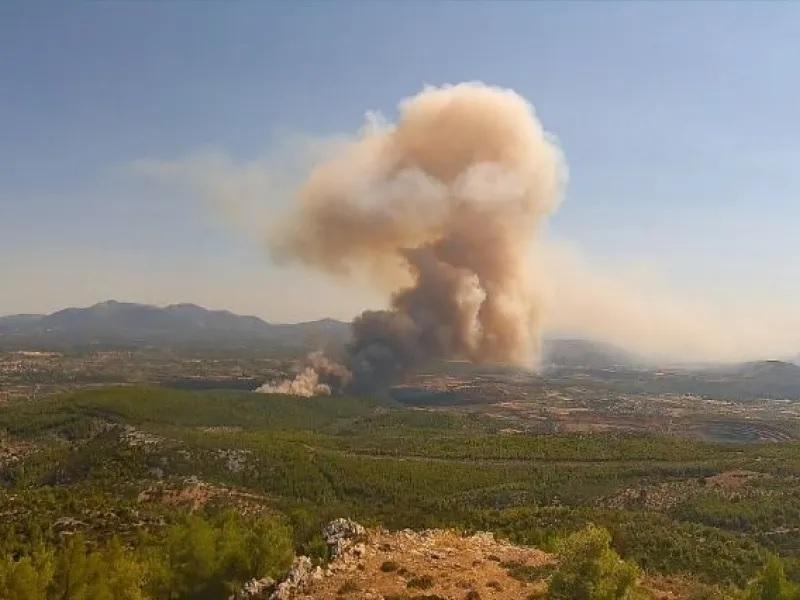 Πυρκαγιά σε δασική έκταση στη Μακρυκάπα Ευβοίας
