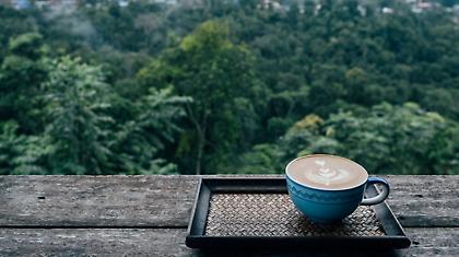 Jamaica Blue Mountain: Ο καφές που φυτρώνει στα βουνά και κοστίζει μια μικρή περιουσία