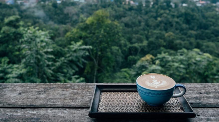 Jamaica Blue Mountain: Ο καφές που φυτρώνει στα βουνά και κοστίζει μια μικρή περιουσία