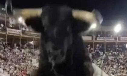 Σκηνές τρόμου σε ταυρομαχία στην Ισπανία - Ταύρος όρμησε προς τους θεατές - Δείτε βίντεο
