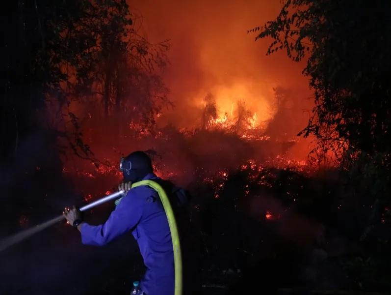 Αλγερία: Θανατική ποινή για εμπρησμούς δασών και απαγωγές παιδιών