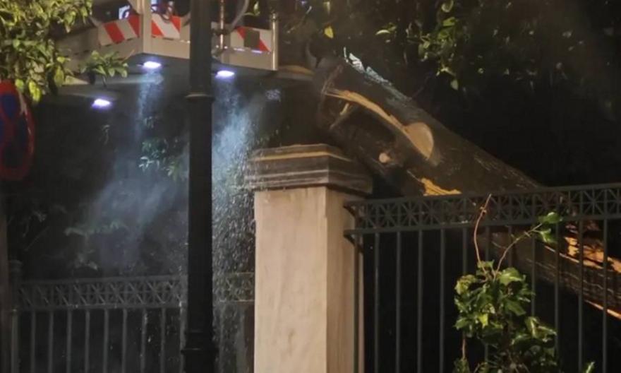 Πτώση μεγάλου δέντρου κοντά στο Μέγαρο Μαξίμου - Κλειστή η Ηρώδου Αττικού, επιχειρεί η Πυροσβεστική