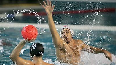 Με απουσίες κόντρα στην Παρτιζάν ο Πανιώνιος