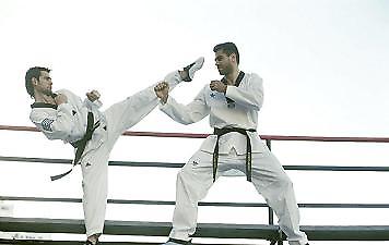 Τάε  κβο ντο: 8η θέση για τον Παπαγγελή