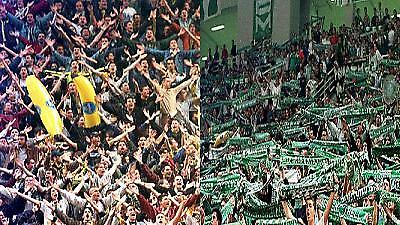 Κίτρινη απόχρωση, σε πράσινο φόντο...