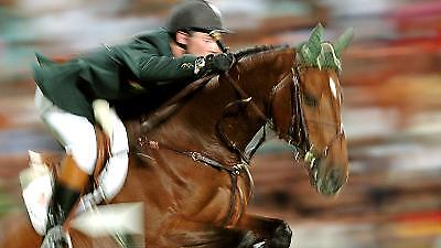 Ύποπτη η κλοπή του δείγματος του ντοπέ αλόγου