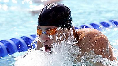 ''Αργυρό''...δελφίνι