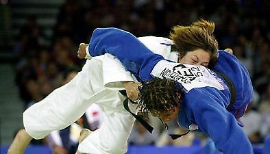 ''Αυλαία'' με ικανοποιητικές εμφανίσεις