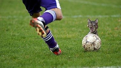 Η κορυφαία ιστορία του 2005