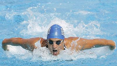 «Δελφίνια» από ασήμι