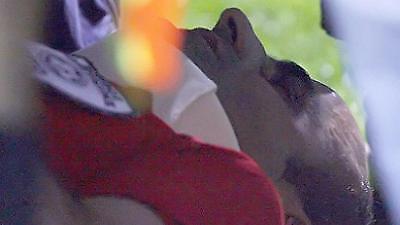 Ήπια κάκωση στο κεφάλι υπέστη ο επόπτης Κόττορος