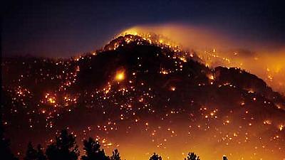 Δημοπρασία για τους πυροπαθείς