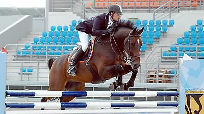 «Αυλαία» στο παγκόσμιο κύπελλο ιππασίας