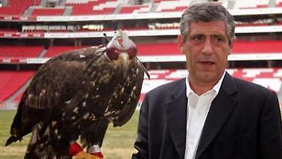 Στην Μπενφίκα ο Σάντος